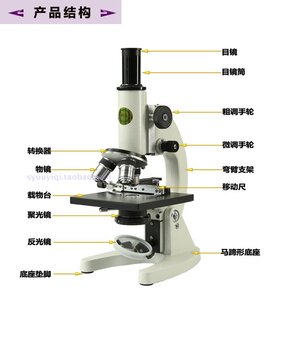 江西凤凰XSP-06专业学生儿童生物高倍高清科